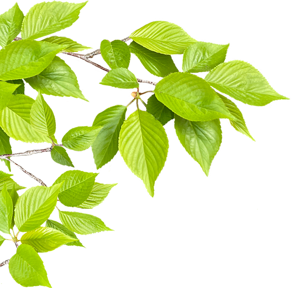 こんな症状ありませんか？