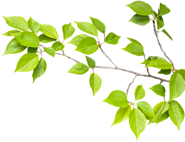 こんな症状ありませんか？